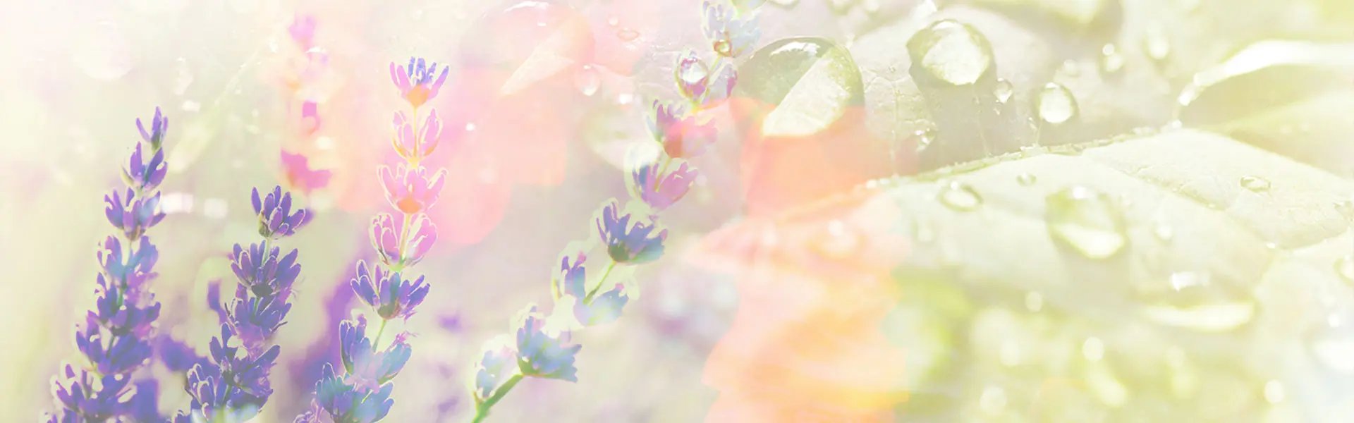Artistic impression of the ingredient