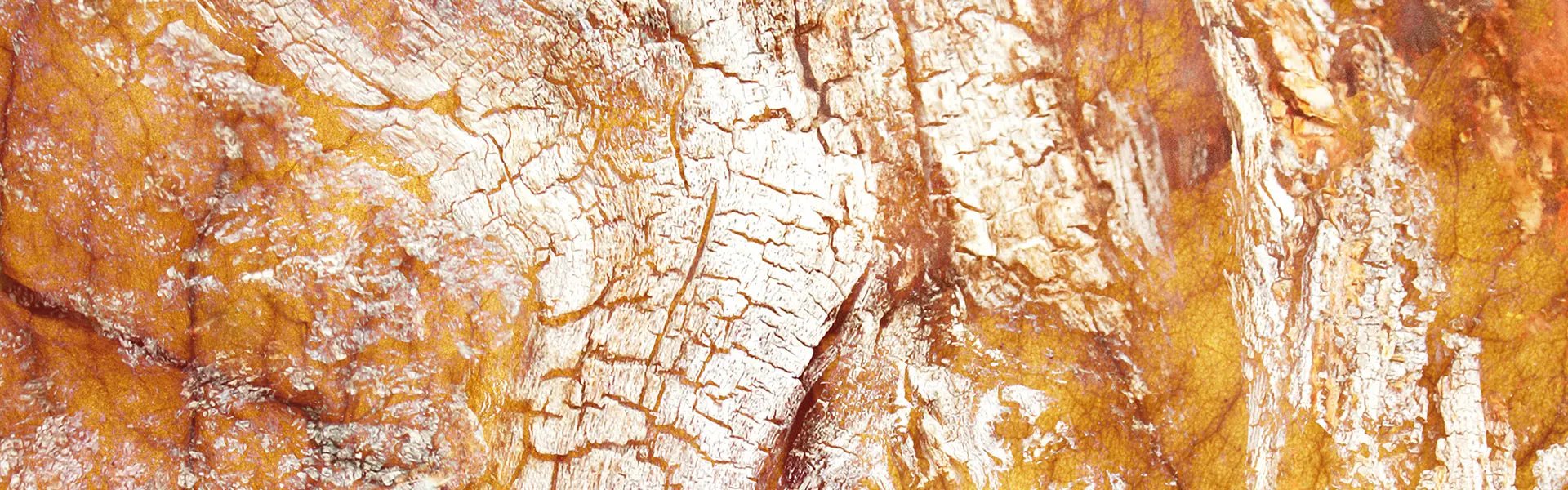 Artistic impression of the ingredient