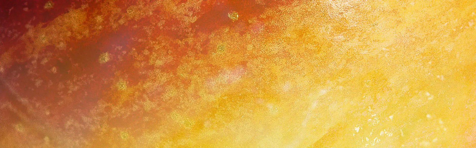 Artistic impression of the ingredient