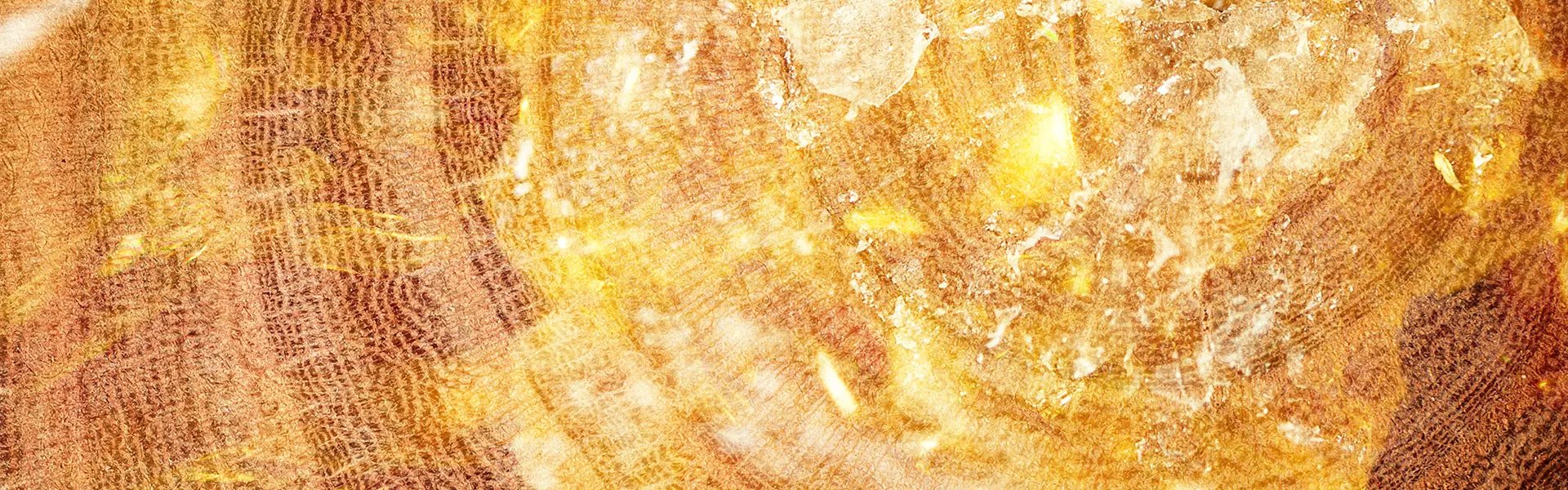 Artistic impression of the ingredient