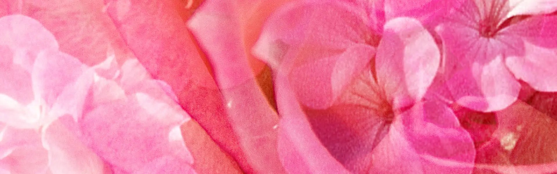Artistic impression of the ingredient
