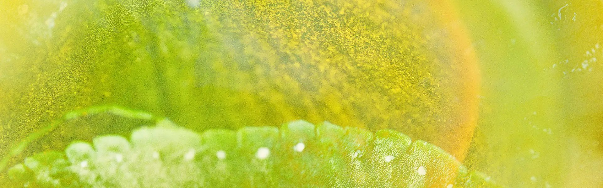 Artistic impression of the ingredient