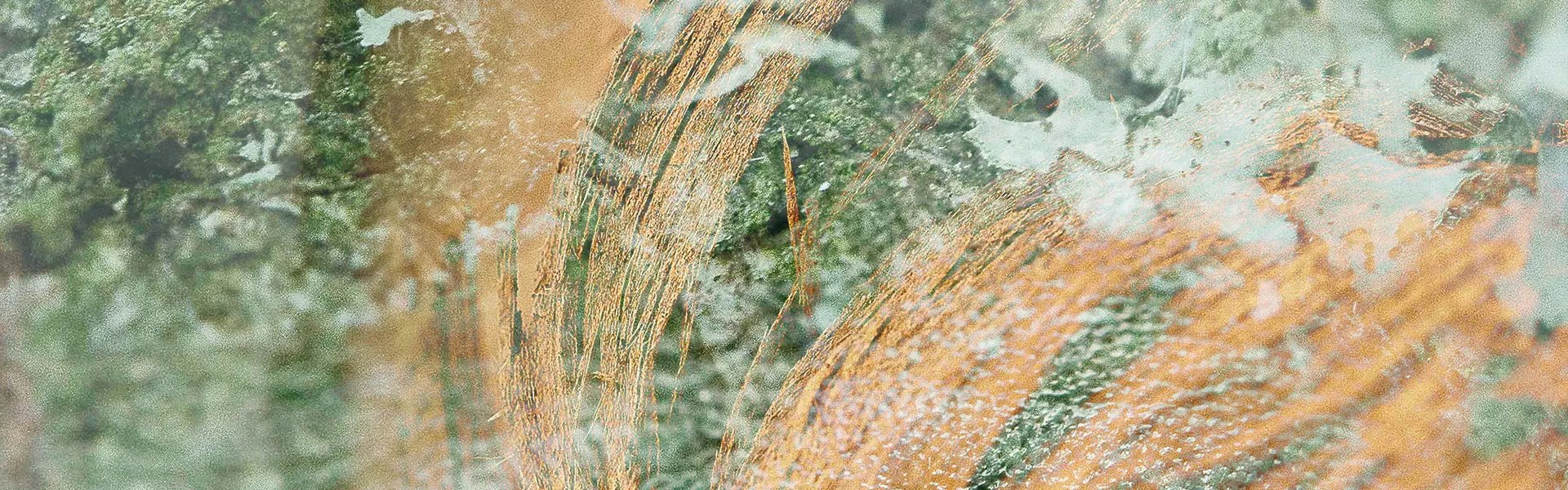 Artistic impression of the ingredient