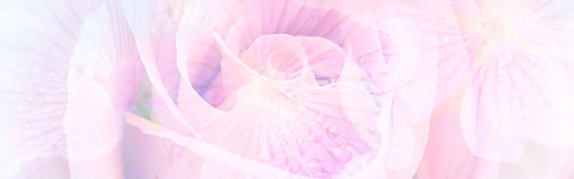 Artistic impression of the ingredient