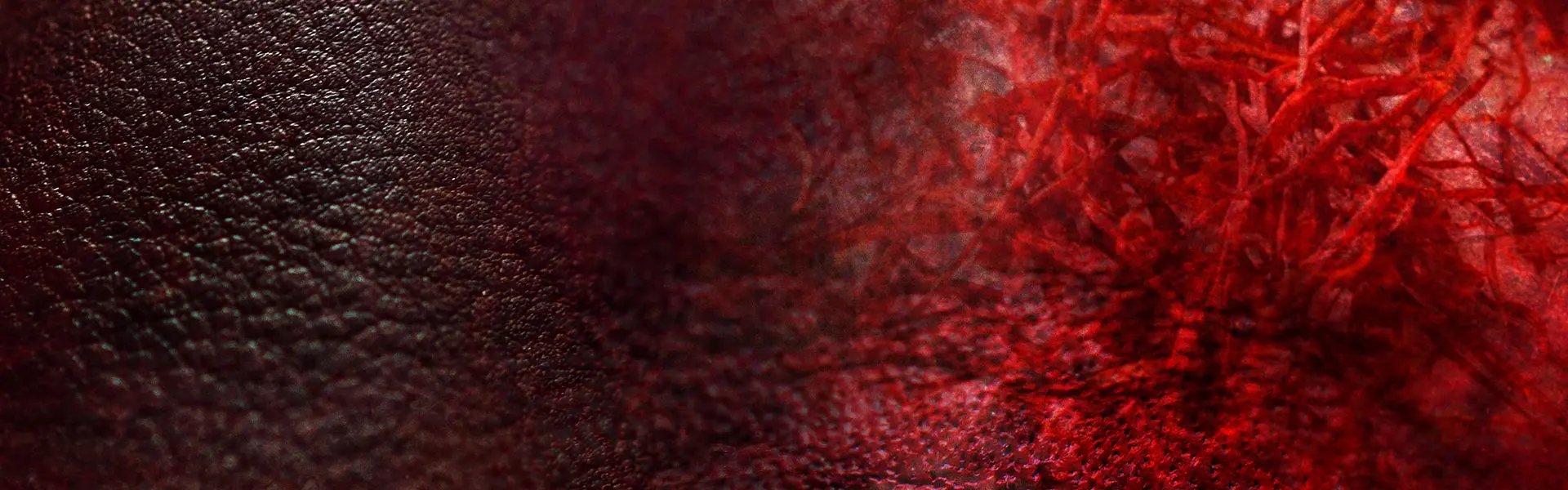 Artistic impression of the ingredient