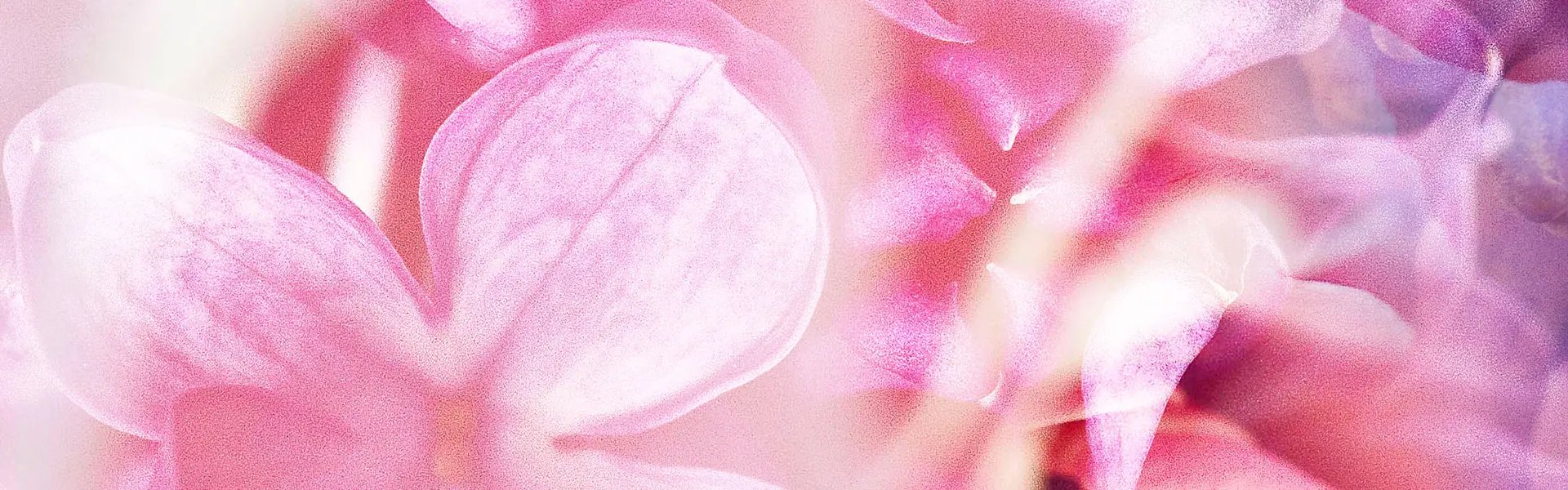 Artistic impression of the ingredient