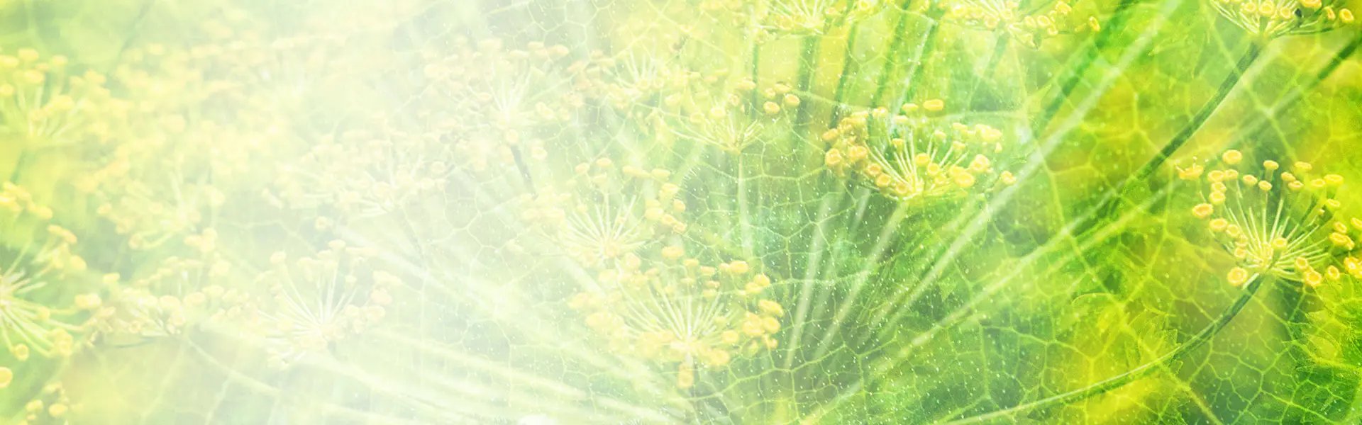 Artistic impression of the ingredient