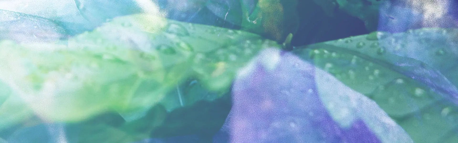 Artistic impression of the ingredient