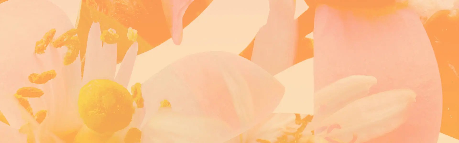 Artistic impression of the ingredient