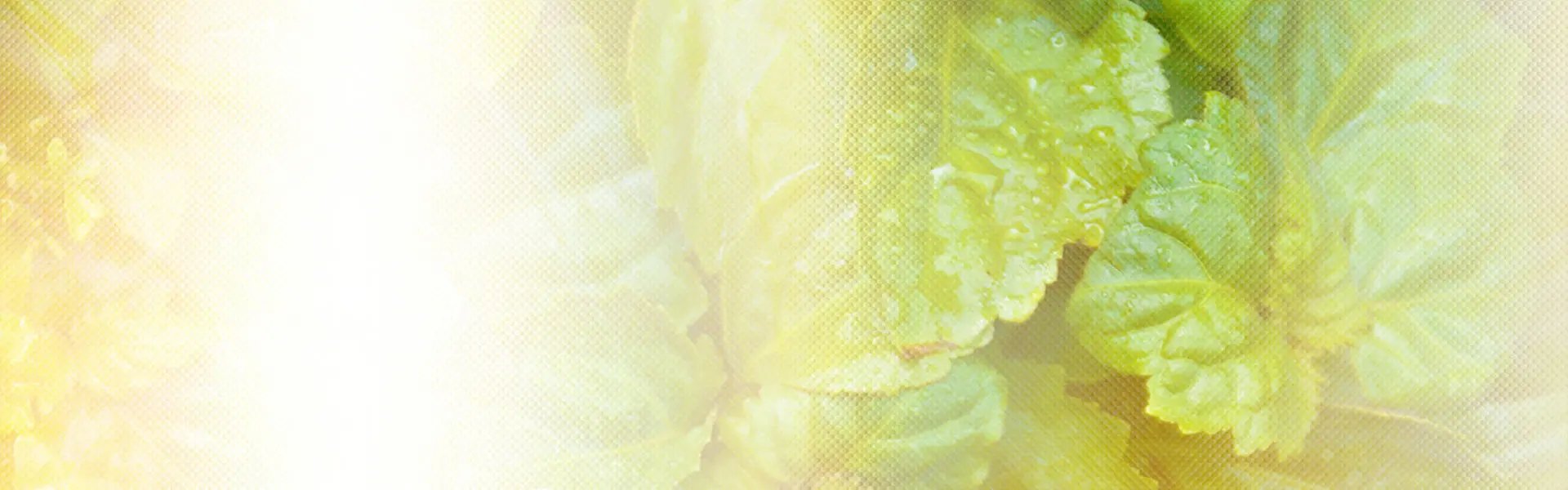 Artistic impression of the ingredient
