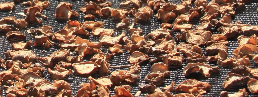 Pieces of devil's claw drying
