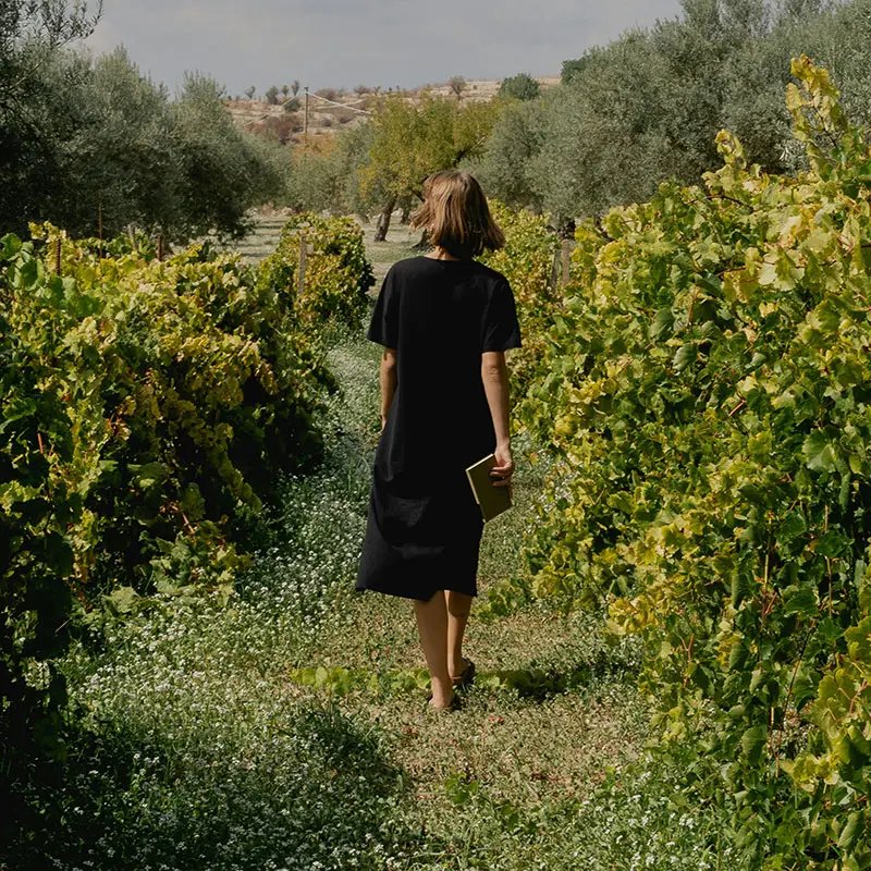 Woman walking through a vineyard