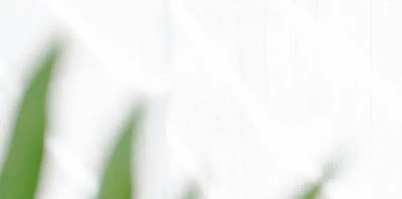Part of nutritional beverage image