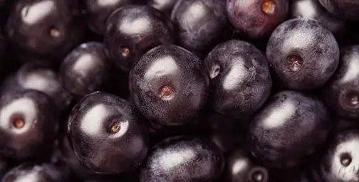 Full width photo of açaí berries