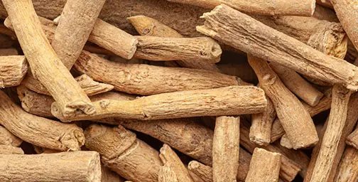 Close up of ashwagandha roots