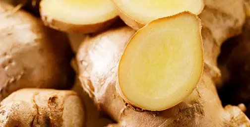 Close up of ginger roots