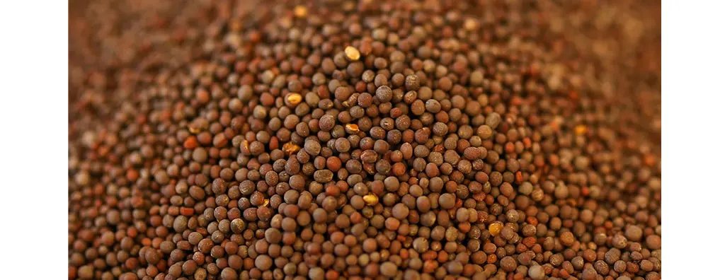 Close-up view of a mound of brown mustard seeds, showcasing their small, round shape and varying shades of brown. The seeds create a rich, textured surface, suggesting spiciness and flavour.