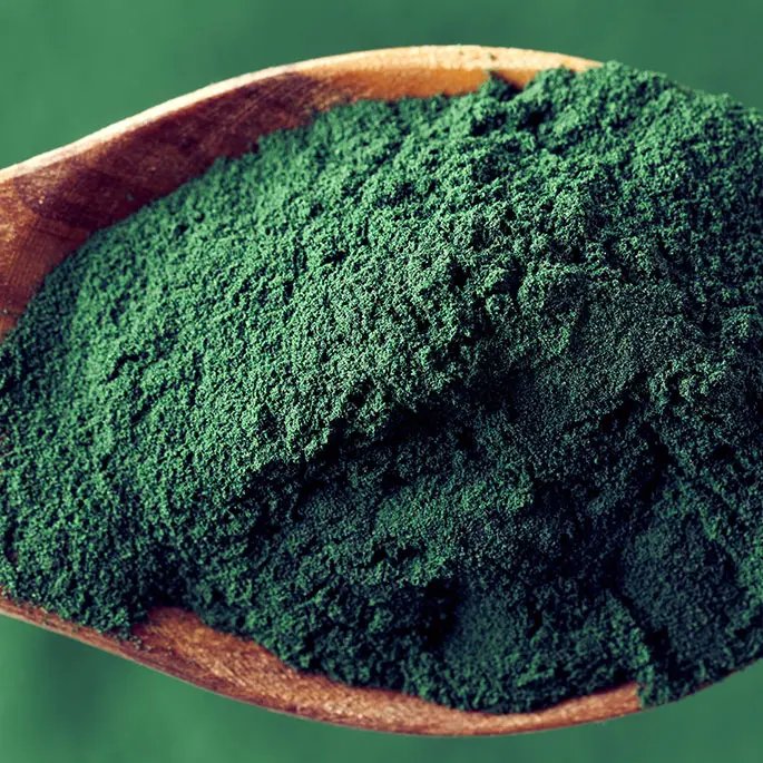 A dark turquoise powder on a spoon representing spirulina
