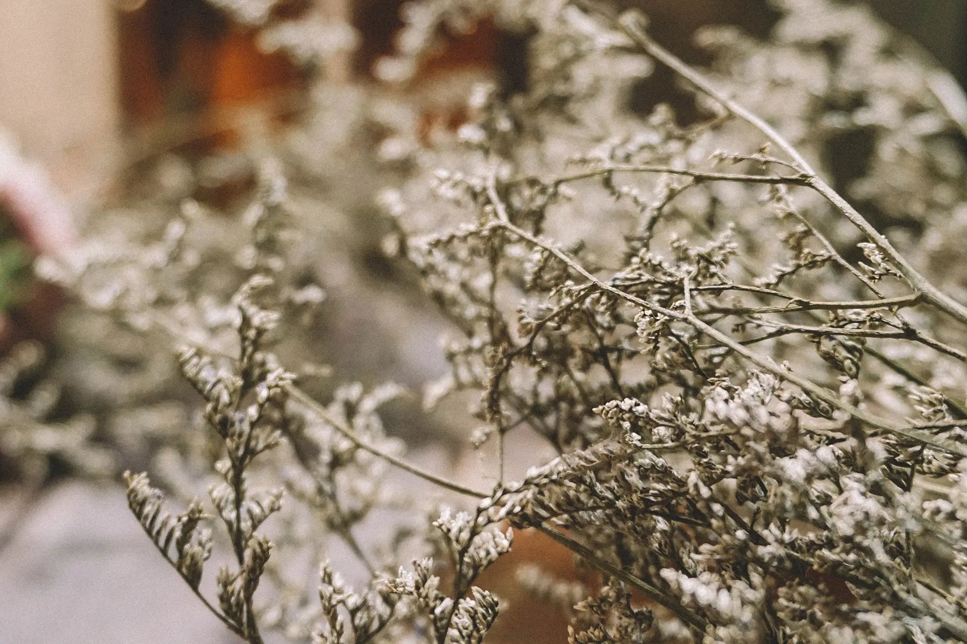 Dried, delicate branches with tiny white sage flowers are seen in the foreground, set against a softly blurred background of warm, earthy tones.
