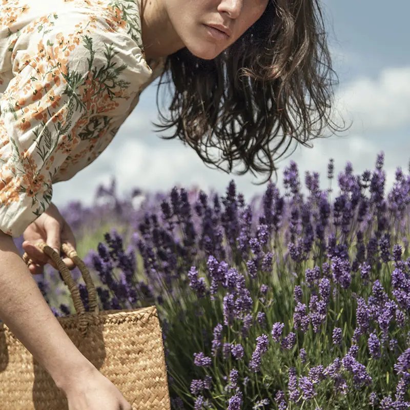 Woman with rattan bag in a lavender field