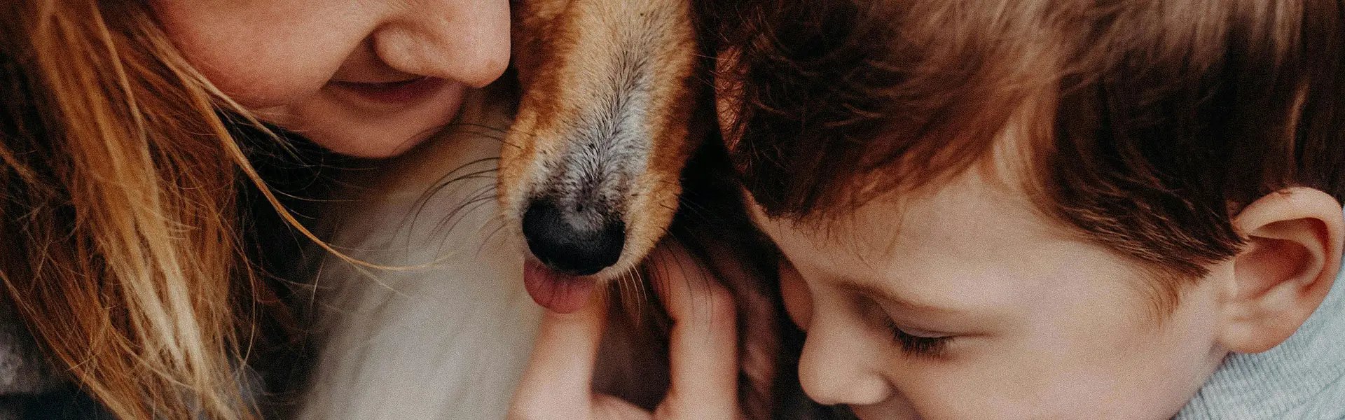 A woman and a young boy cuddle a dog close to them, sharing joyful moments. The dog's tongue sticks out playfully, while warm smiles reflect their affection and happiness.