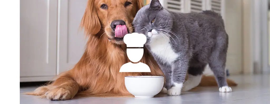 A golden retriever and a grey cat are beside a white food bowl, with the dog licking its lips and the cat nuzzling the bowl, suggesting anticipation for mealtime.