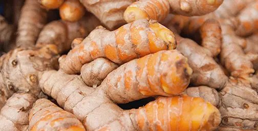Fresh turmeric roots are piled together, displaying their textured brown skin and vibrant orange inner flesh. The image conveys a sense of natural health and earthy goodness.