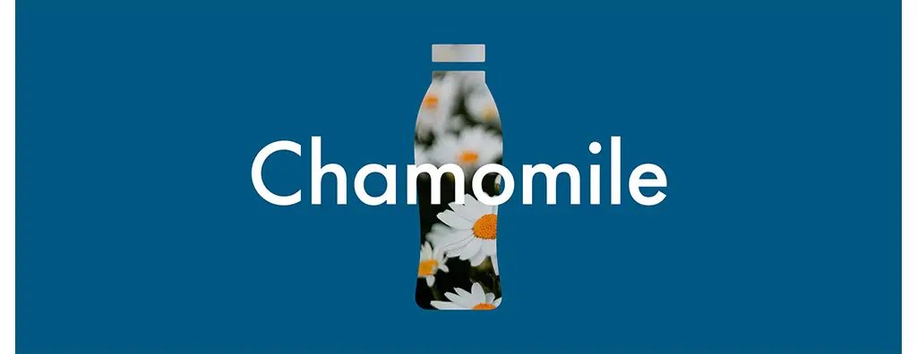 A blue background features the word "Chamomile" in bold white letters, with a bottle silhouette filled with vibrant chamomile flowers visible inside. The design conveys a fresh and calming mood.