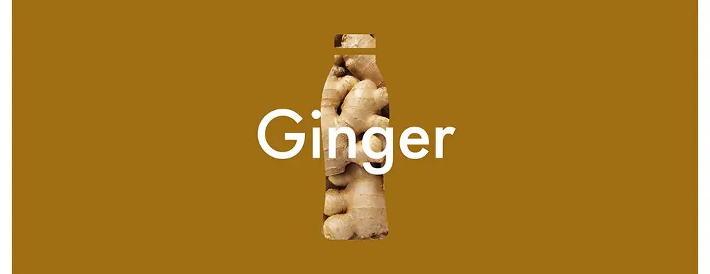 A simple design featuring the word "Ginger" in bold white text, overlaid on a brown background. The text is shaped like a bottle, with ginger root visible inside it, conveying a focus on this botanical ingredient.