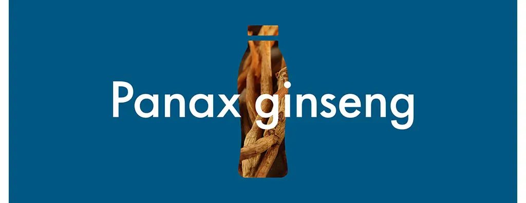 A blue background features the words "Panax ginseng" in bold white letters, with an outline of a bottle. Inside the bottle outline, dried ginseng roots are visible, suggesting a focus on herbal wellness.