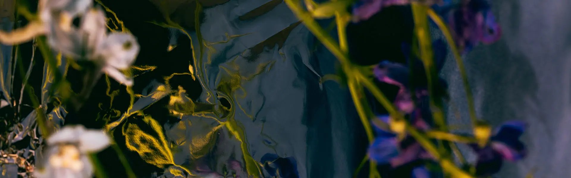 A close-up of a glossy, textured surface in dark tones, partially covered by vibrant purple and green flowers. The reflective quality suggests a sense of depth and intrigue.