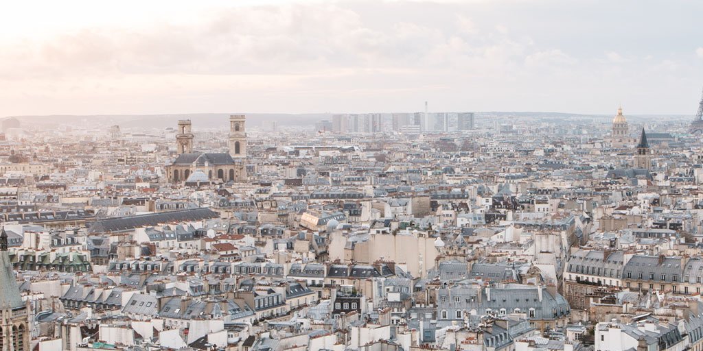 Panoramic view of Paris rooftops stretching to the horizon, with historic church towers and domes under a pale, softly clouded sky.