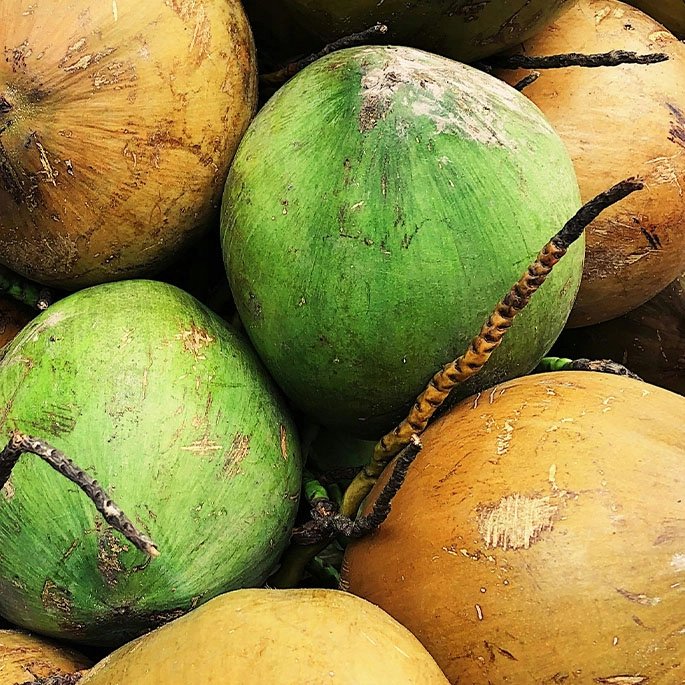 coconuts