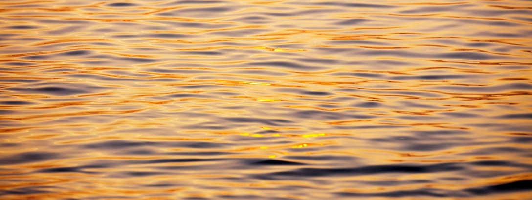 Golden sunset light glimmers across gently rippling water, creating warm orange and amber reflections and a calm, tranquil scene.
