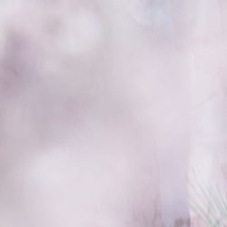 givaudan logo
