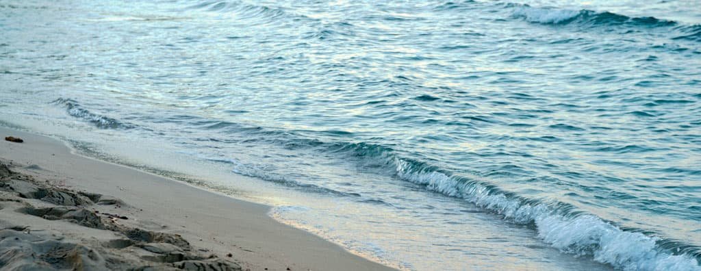 Online Integrated Annual Report