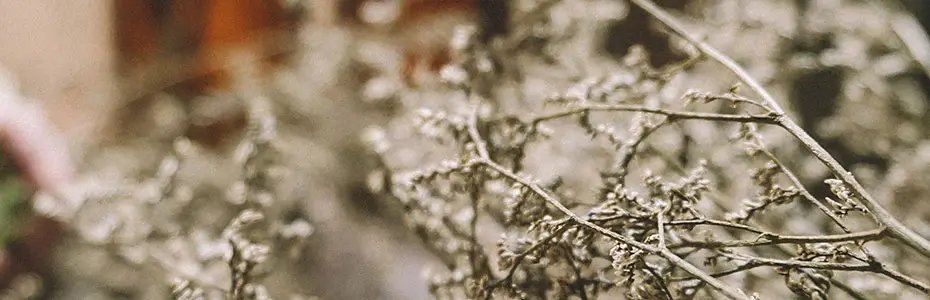 Digital Integrated Report