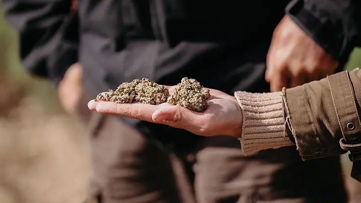 A hand is holding soil clumps, showcasing dark and earthy tones. 