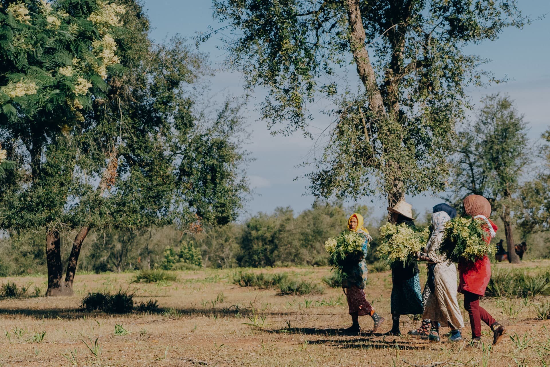 Givaudan Flavours and fragrances that engage your senses