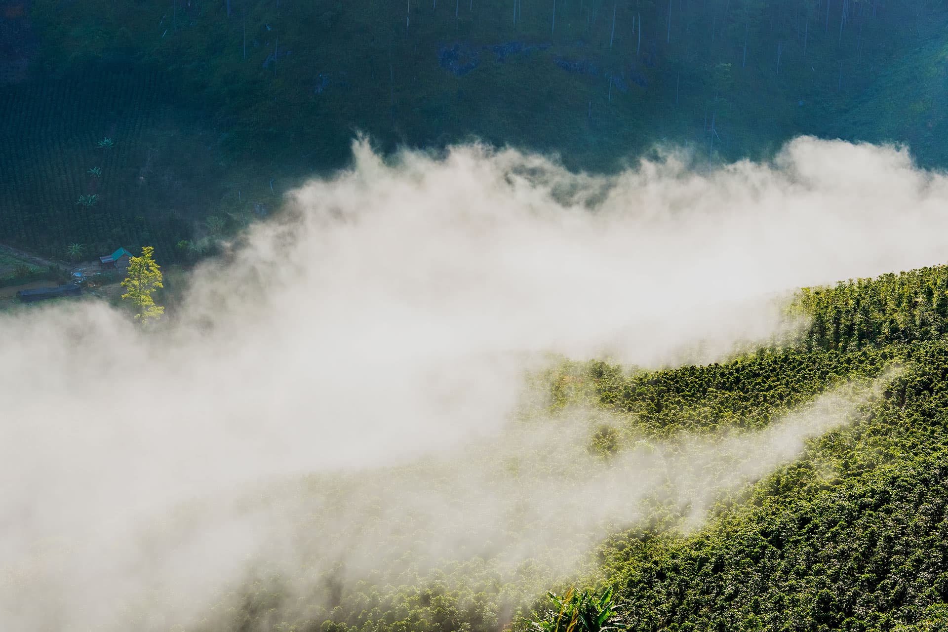 Givaudan | Flavours and fragrances to create for happier, healthier lives
