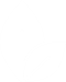Plant leaves