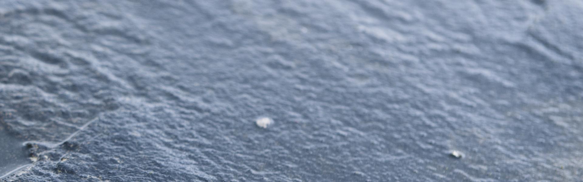 banner-image