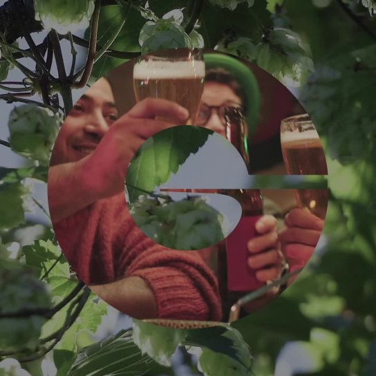 instagram post Ready to make your beer c