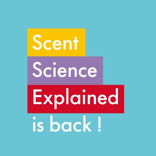 instagram post Scent Science Explained i