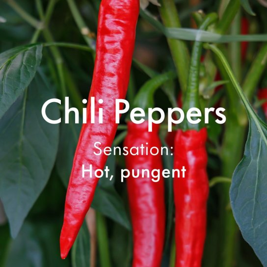 instagram post  Did you know? Our innova