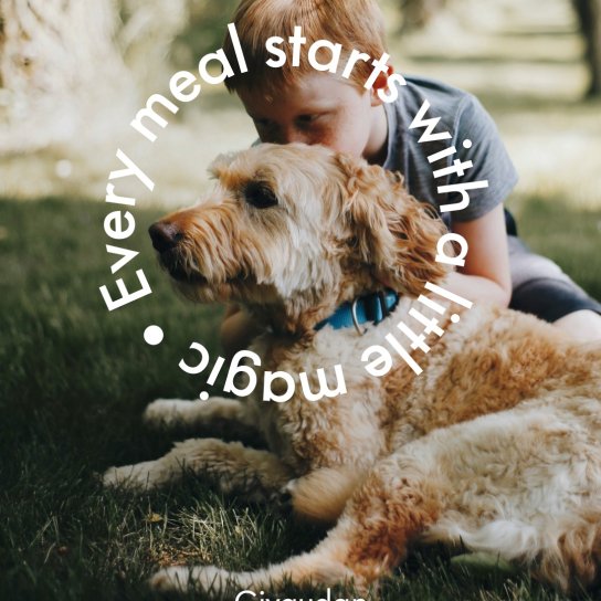 instagram post Every great pet meal star