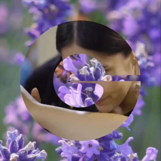 instagram post Different journeys. Share