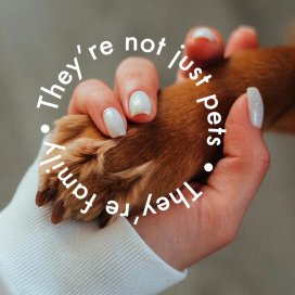 instagram post Theyre not just pets. The