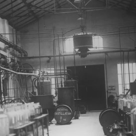 instagram post Today, on Earth Day, we c