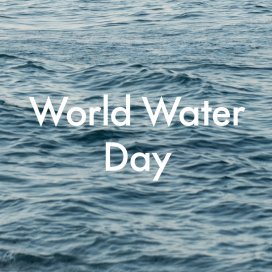 instagram post World Water Day is a chan